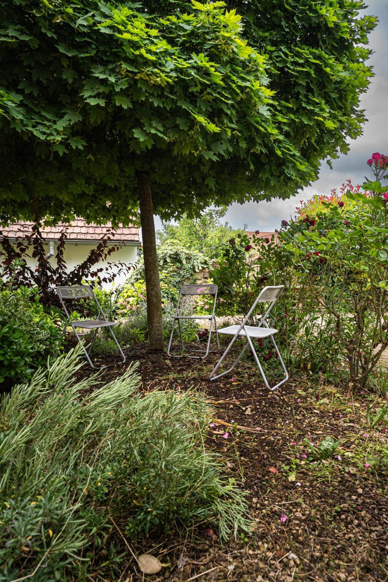 Le Gite 'Humulus' Bilwisheim Exterior photo